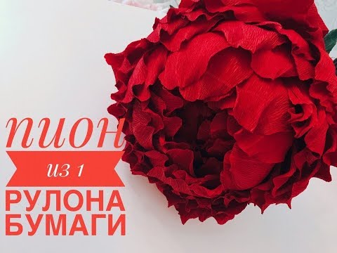 Видео: пион из гофро. бумаги из 1 рулона