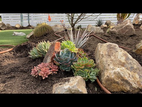 Видео: Третий день в Чатсуорте!