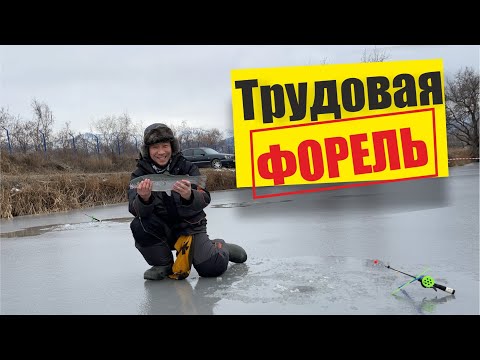 Видео: Зимняя рыбалка близ Алматы 2022, ловля форели со льда, озеро Алтайка.