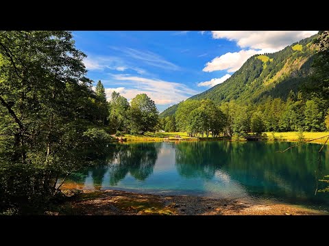 Видео: История 198