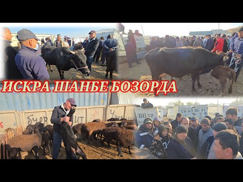 Видео: ИСКРА ШАНБЕ БОЗОРДА КАТА МОЛ МАЙДА МОЛАР НАРХЛАРИ 🤔🤔