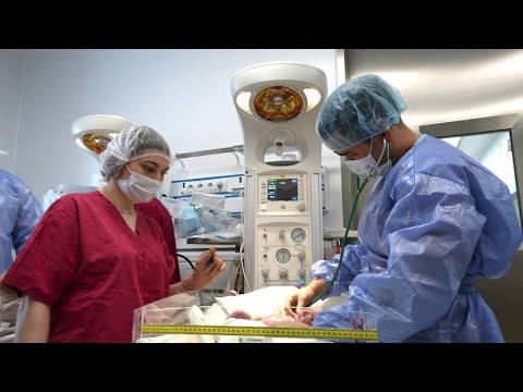 Видео: В сургутском перинатальном центре родились первые тройняшки в этом году
