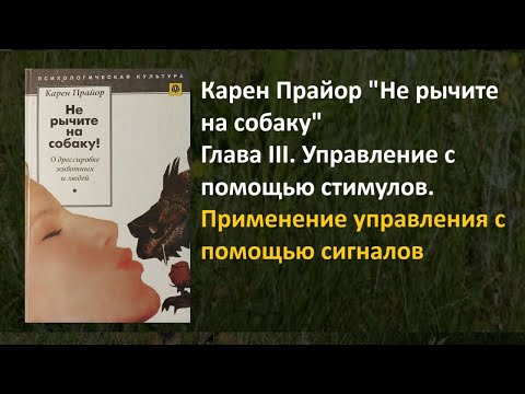 Видео: 240  Карен Прайор "Не рычите на собаку" Применение управления с помощью стимулов