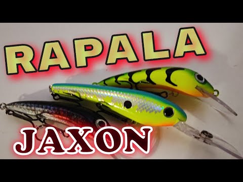 Видео: Лучшие воблеры для ТРОЛЛИНГА.ДВЕ ЛЕГЕНДЫ. RAPALA&JAXON.ГОДНО,ДОСТОЙНО, ЗАЕ...ИСЬ. РЕКОМЕНДУЮ 