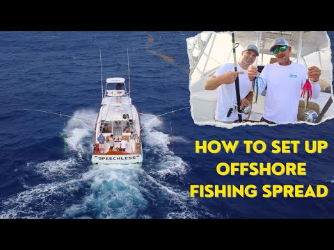 Видео: Идеальное решение для морской рыбалки! (Приманки, наживки, советы, дистанции и многое другое!)