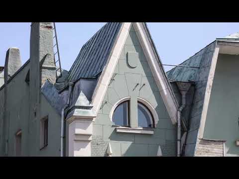 Видео: "Крылышкуя золотописьмом тончайших жил..." профессора Аннушкина