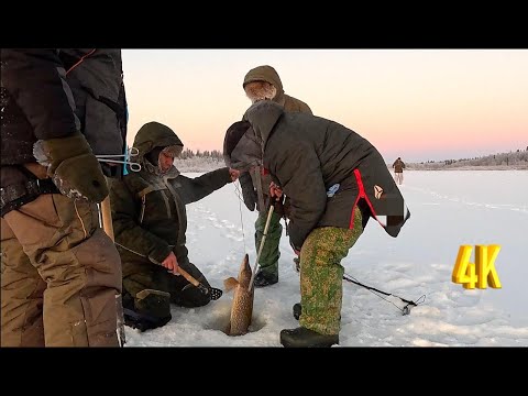 Видео: ТРОФЕИ ПРОСКАКИВАЮТ | РЫБАЛКА С ХОРОШЕЙ КОМПАНИЕЙ В МОРОЗ | 2  | FISHING WITH A GOOD COMPANY