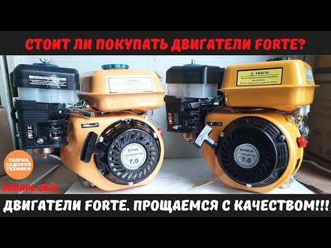 Видео: Двигатели FORTE. Серия 2022 года - качество под сомнением! Покупать или нет?! Хорошие или плохие?
