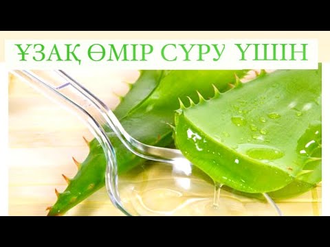 Видео: Алаэ мен бал қалай тұтынамыз, #Алоэ жеп #ұзақ өмір сүреміз☘️