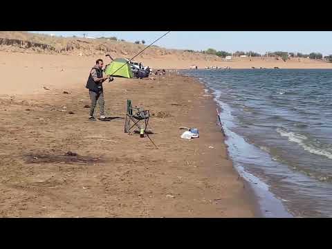 Видео: Рыбалка и отдых на Шардаринском водохранилище. Отдых супер!!!