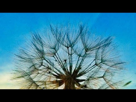 Видео: Информация с потока 🌹❣️🔥🪞