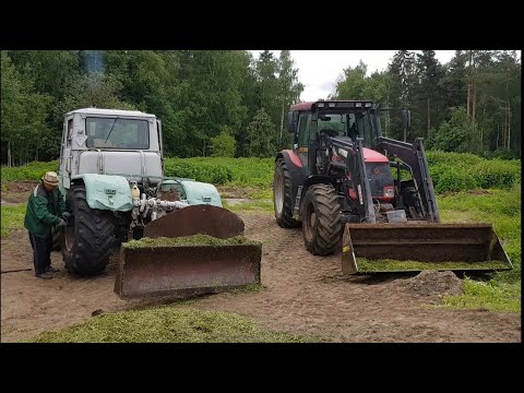 Видео: Заготовка кормов 2022 / первый укос КЛЕВЕРА / замена колеса на RUDY / ПОЛЕТ НОРМАЛЬНЫЙ !