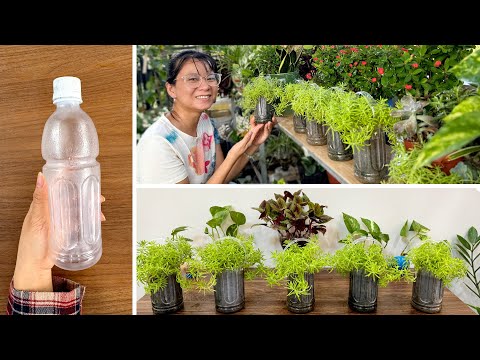 Видео: Креативное садоводство: превратите пластиковые бутылки в милые кашпо