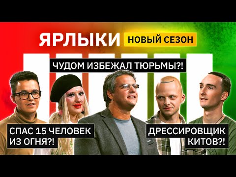 Видео: Кто чудом избежал тюрьмы? Кто дрессирует китов? Кто мировой рекордсмен? | Ярлыки | КУБ