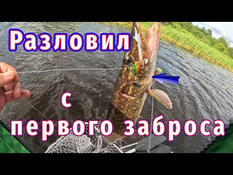 Видео: Разловил с Первого заброса!  Ловят с упаковки хороших щук!