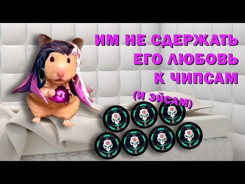 Видео: Голоден и опасен