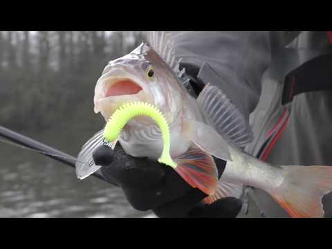 Видео: отлично закрыли сезон 2019. даже и не надеялись что так круто половим рыбу. рыболовная база Bewl.