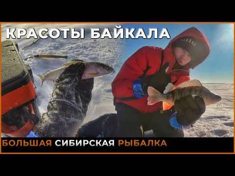 Видео: Я поймал ЕГО! Упирался до последнего! Рыбалка на Байкале | Залив провал. Ловля окуня и хариуса.