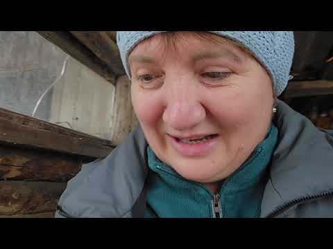 Видео: Родители купили дрова