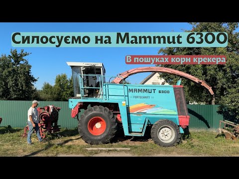 Видео: Mammut 6300 - сезон силосування 2025