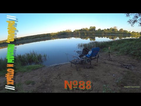 Видео: На рыбалку с ночёвкой . Река Мокша . Ловля фидером . Отдых у реки