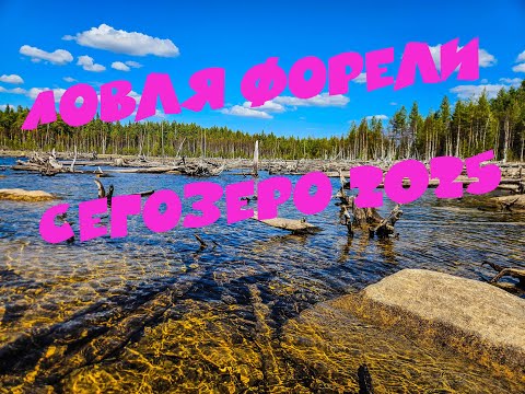 Видео: Ловля Форели Сегозеро 2025/ Trout fishing Segozero 2025