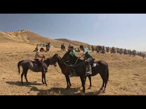 Видео: Той. Аламан улак. Бедре-Сай.