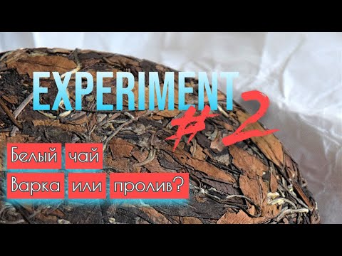 Видео: Чайный эксперимент №2. Два способа заварить белый чай Гун Мэй. Микродозинг чая.