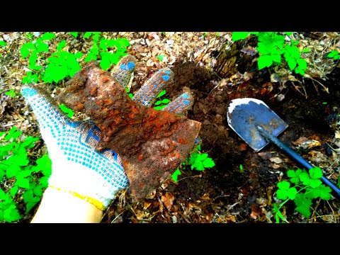 Видео: ПОИСК МОНЕТ И МЕТАЛЛА НАХОДКИ С МЕТАЛЛОИСКАТЕЛЕМ ГДЕ ИСКАТЬ МОНЕТЫ И МЕТАЛЛОЛОМ В ЛЕСУ КОП 2020