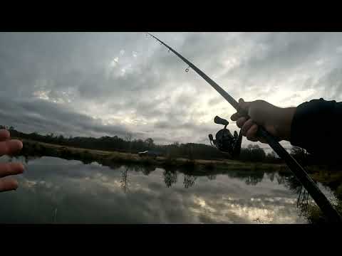 Видео: Речка переплюйка и осенний поплавок, отчёт № 417