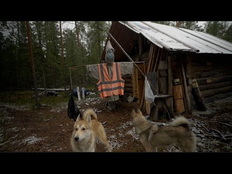 Видео: Живем в тайге 2. Питаемся добытым , ловим  медведя хулигана. Добыли ....