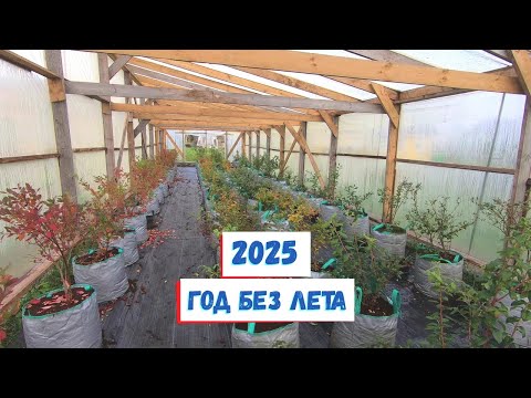 Видео: Итоги сезона 2025