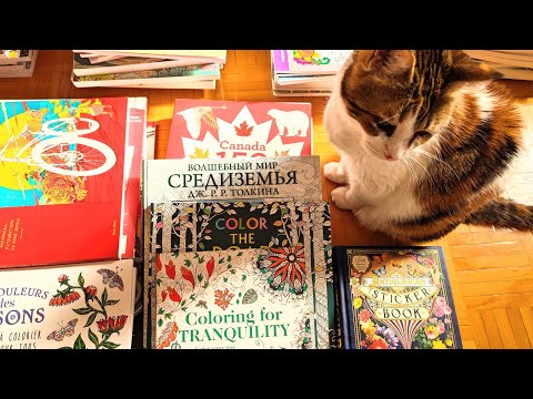 Видео: 20. Все мои раскраски. Заключительная серия