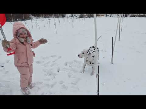 Видео: ВЕШАЕМ ГИРЛЯНДУ, ЧИСТИМ ДВОР ОТ СНЕГА, ВНУЧКА -ГЛАВНАЯ ПОМОЩНИЦА.