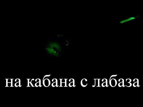 Видео: охота на кабана ночью с двустволкой и фонарем
