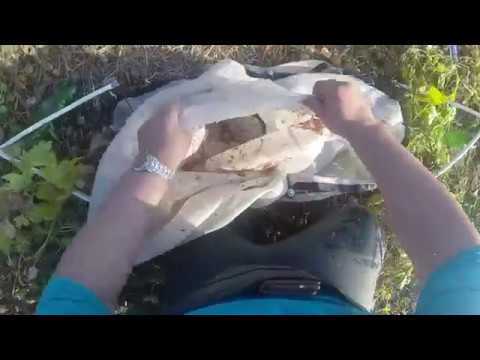 Видео: Живой корм для аквариумных рыб, ловля тралом.