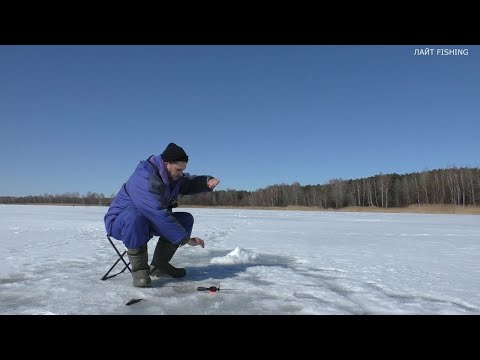 Видео: ВОТ ЭТО ОНА ДАВИТ! Ловля крупной плотвы зимой! Рыбалка 2022