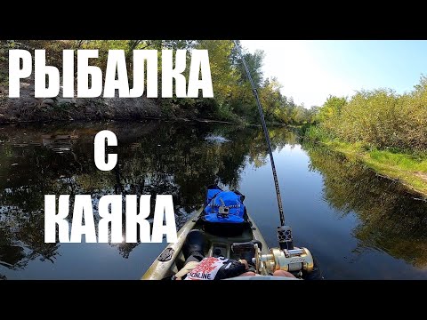 Видео: РЫБАЛКА С КАЯКА| Много голавлей |KAYAK FISHING