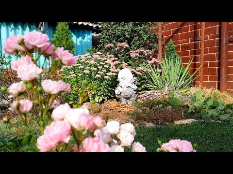 Видео: ОСІННІЙ САД ПІСЛЯ ДОЩІВ. ПОСАДИЛА РОСЛИНИ НА АЛЬПІЙСЬКУ ГІРКУ. ЖИТТЯ В МАЛЕНЬКОМУ СЕЛІ.