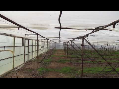 Видео: Монтаж второго купола в теплице.  Часть - 3 (ответы на вопросы)