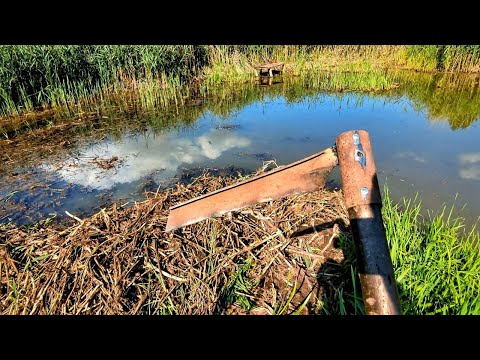 Видео: Расчистил озеро в болоте за год, вручную! Подходит рыба из кустов