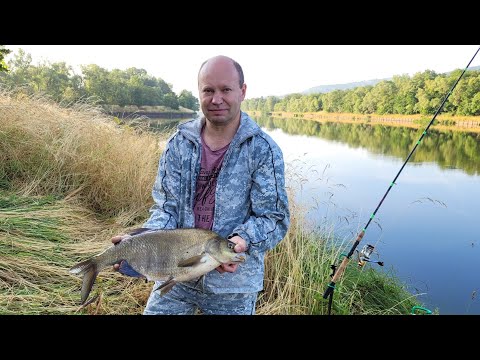 Видео: Рыбалка во Франции. Трофейные лещи на резиновую кукурузу.