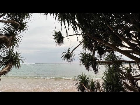 Видео: Вопросы и ответы 2022