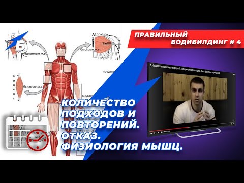 Видео: Количество подходов и повторений. Отказ. Физиология мышц. Правильный Бодибилдинг 4. Ремейк