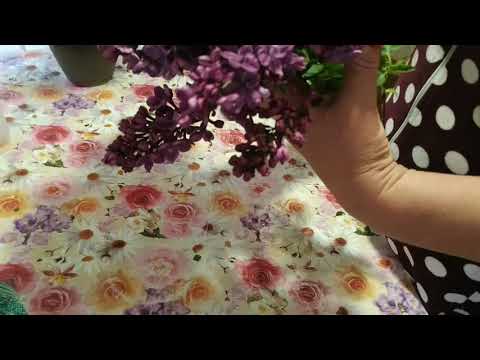 Видео: Как сохранить сирень подольше  в вазе