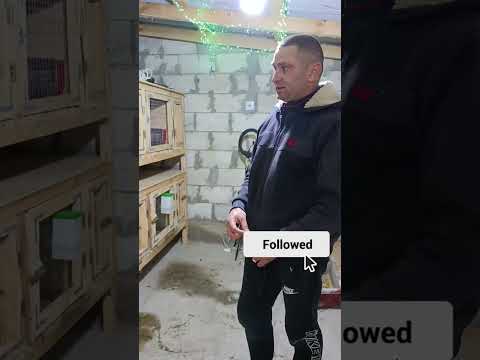 Видео: 4 ноября 2025 г.