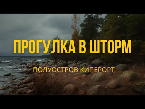 Видео: Лен область. Экотропа Мыс Киперорт