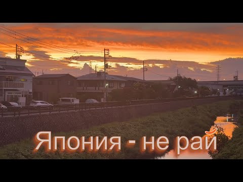 Видео: Почему Япония - не рай на земле. О поиске работы и ритме жизни.