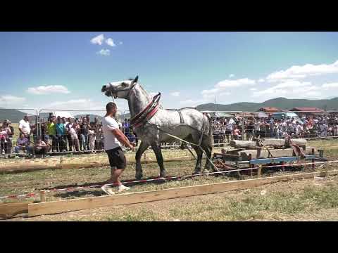 Видео: Конен Спорт Натегляне Гр Ихтиман 2025г Асен Мих Част 2