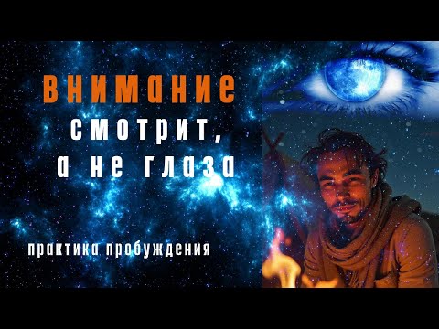Видео: Внимание смотрит, а не глаза  #пробуждение  #просветление #осознанность #я есть